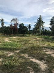 ขายที่ดินหนองเสือ