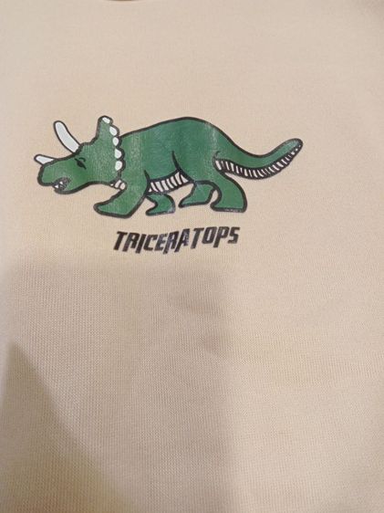 Shein Triceratops Sweatshirt เสื้อสเว็ตเชิ้ต สีครีม size M EUR 38 ,US 6  อก 46ยาว 32 แขน22 ไหล่กว้าง 9 นิ้วจากไหล่ แขนจั๊ม เอวจั๊ม รูปที่ 12