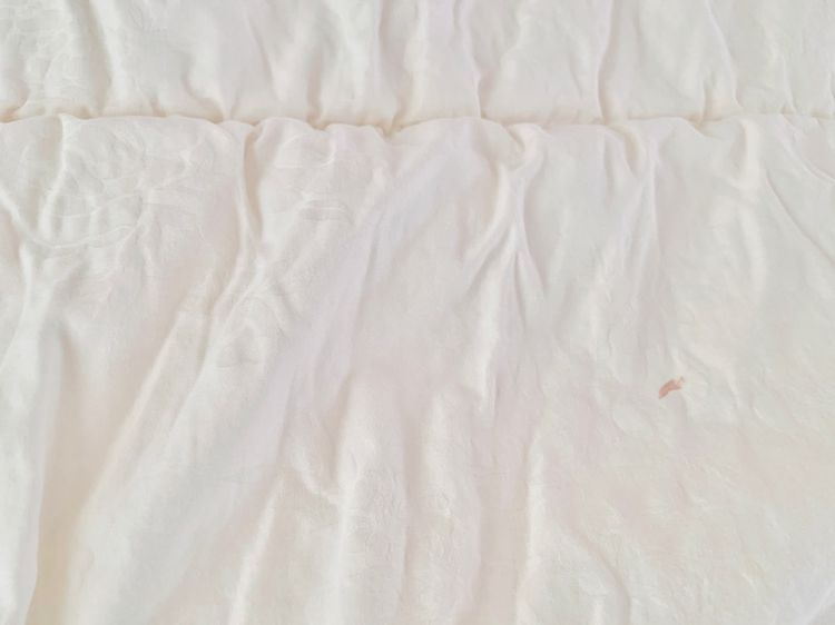 ที่นอนปิคนิค หรือท๊อปเปอร์ขนแกะ ขนาด 4.5-5ฟุต สีขาวครีมพิมพ์ลายดอกวินเทจทั้งผืน ยี่ห้อ Aipaca Wool (Made in Newzealand) (สภาพใหม่) รูปที่ 6