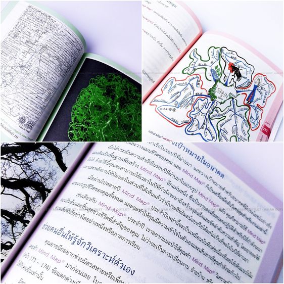 คัมภีร์ Mind Map ที่ดีที่สุด และสมบูรณ์ที่สุด The Mind Map Book by Tony Busan ฉบับภาษาไทย เหมือนใหม่ หายากมากๆ ครับเล่มนี้ ราคาพิเศษ รูปที่ 8