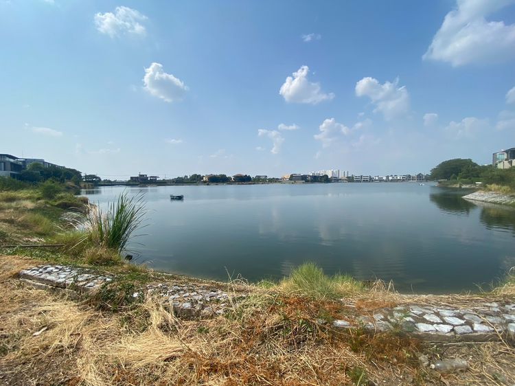 ขายที่ดินริมทะเลสาบ เมืองทองธานี แจ้งวัฒนะ รูปที่ 4