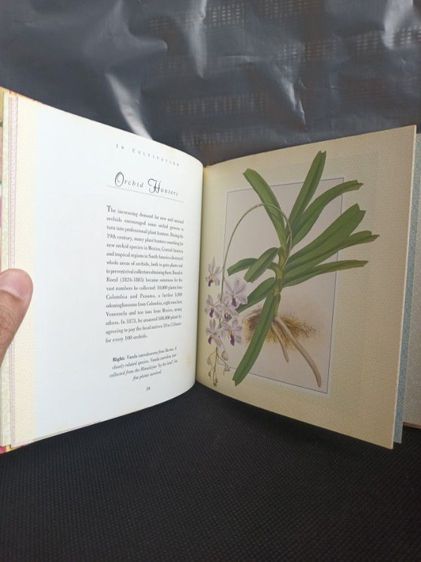 หนังสือ orchids  รูปที่ 3
