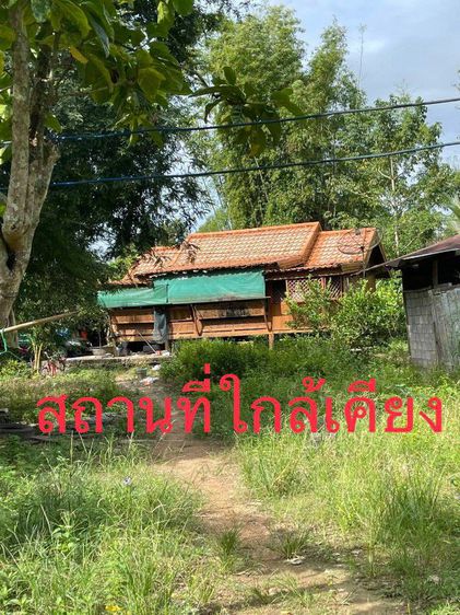 ขายที่ดิน1ไร่2งาน10ตรวาแปลงหัวมุมติดถนน 2 ด้าน
ด้านหน้า ติดถนน อบจ ถ สายสนามชัยเขต-ชำปางาม
ต ท่ากระดาน
อ สนามชัยเขต ฉะเชิงเทรา เจ้าของขายเอง รูปที่ 2