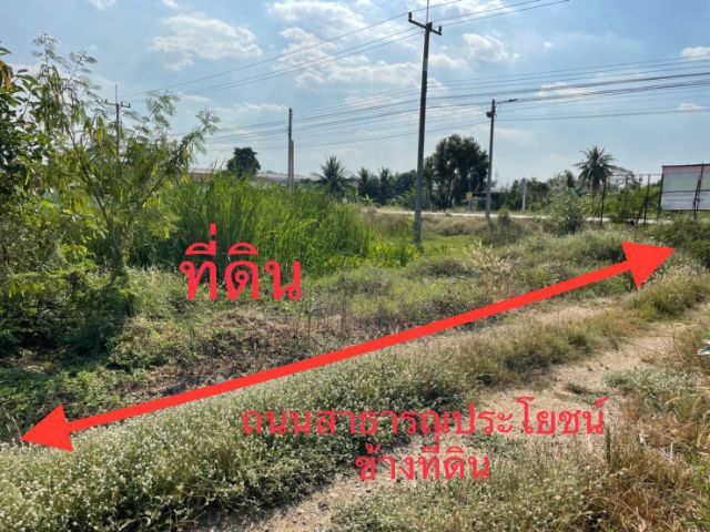 ให้เช่าที่ดินเปล่าแปลงสวย2ไร่3งาน52ตร วา แปลงหัวมุม หน้าติดถนนคลอง10ฝั่งตอ ติดทางหลวง3032กว้าง21ม ข้างติดถนนซอย166ม ทำเล ถ.ลำลูกกาคลอง10 รูปที่ 2