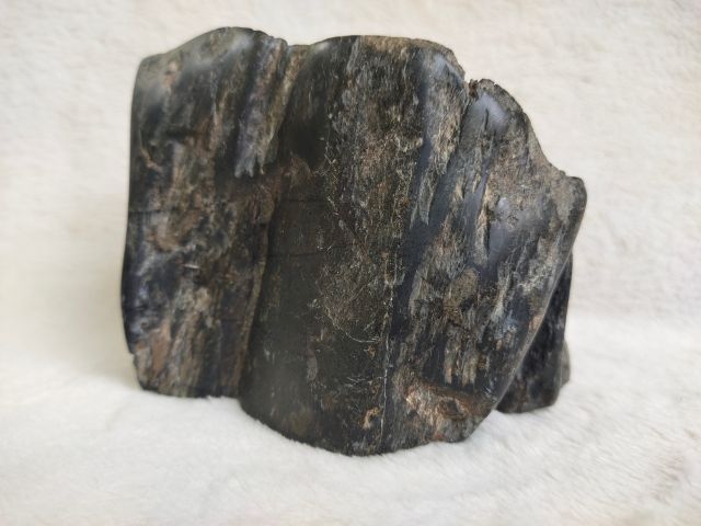 หินซุยเซอิ Suiseki หินสีดำไม้กลายเป็นหิน รูปที่ 10