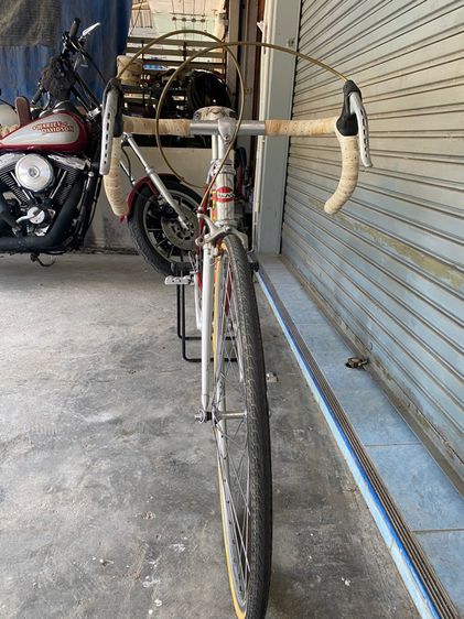 ALAN เทพอลู อิตาลี รูปที่ 8