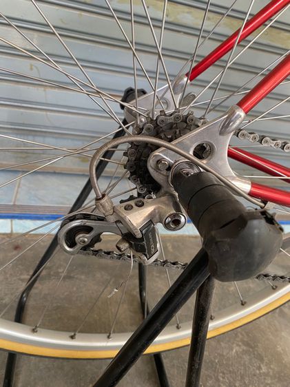 ALAN เทพอลู อิตาลี รูปที่ 6