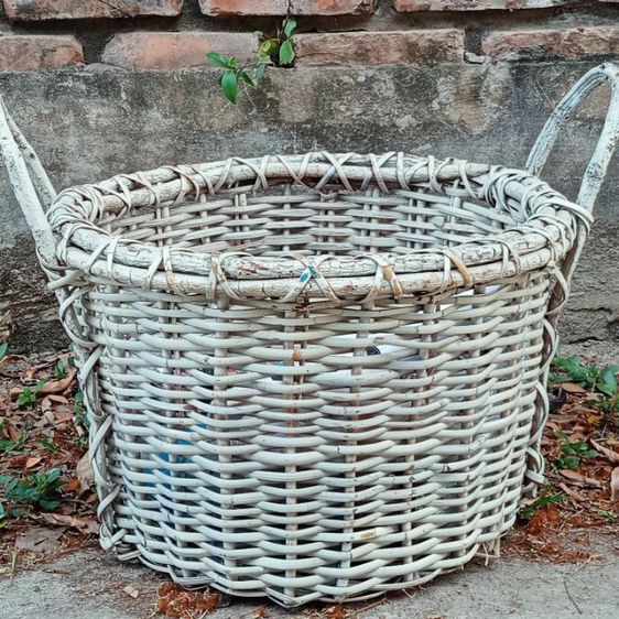 Vintage  French 1970s
White  Wicker  Basket รูปที่ 2