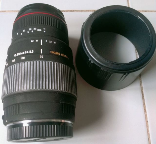 เลนส์ Sigma 70-300 F4.0-5.6 for Canon รูปที่ 2