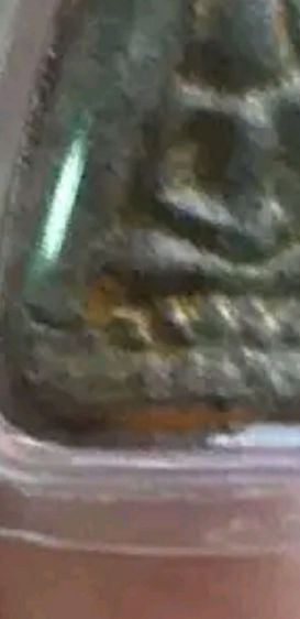 พระหลวงปู่ศุข วัดปากคลองมะขามเฒ่า (พิมย์แจกแม่ครัว แท้) รูปที่ 5