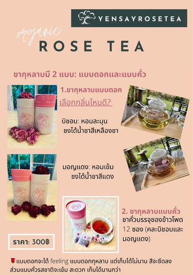 ชาดอกกุหลาบ Rose Tea รูปที่ 2