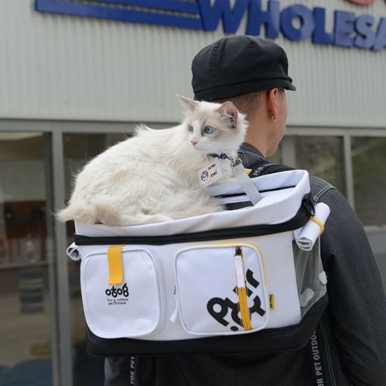 กระเป๋าใส่แมว รูปที่ 1