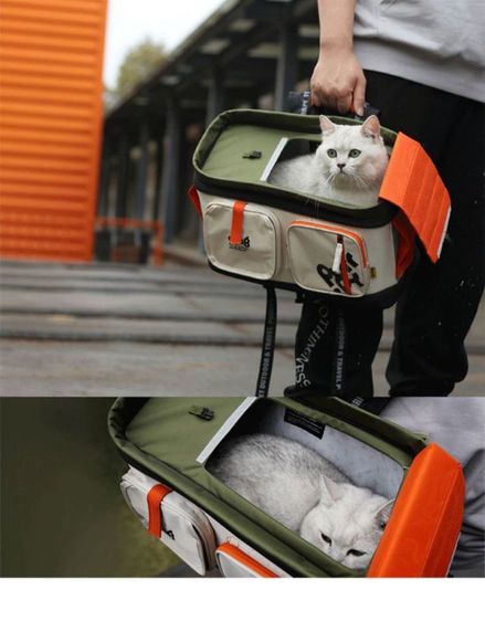 กระเป๋าใส่แมว รูปที่ 6