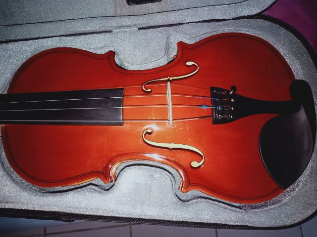 violin รูปที่ 9