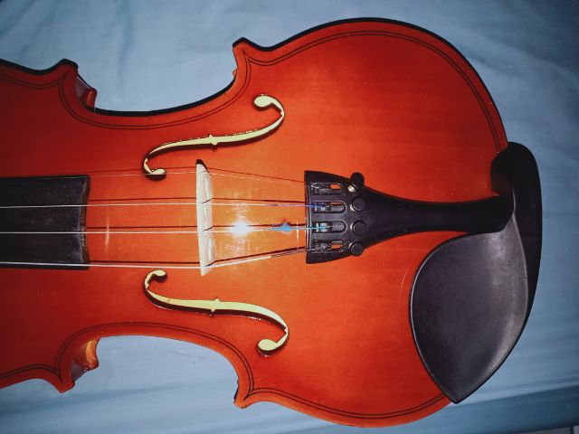 violin รูปที่ 11