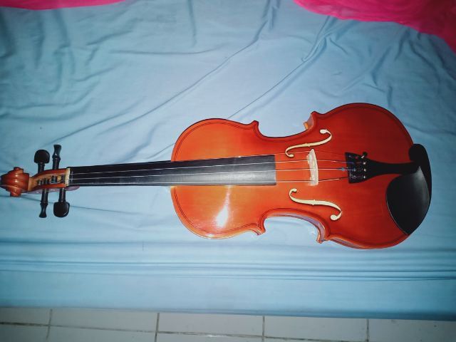 violin รูปที่ 1
