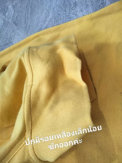 เสื้อ KENZO GOLF(1)เนื้อผ้า cottonสีเหลืองสด แขนยาว
 รูปที่ 4