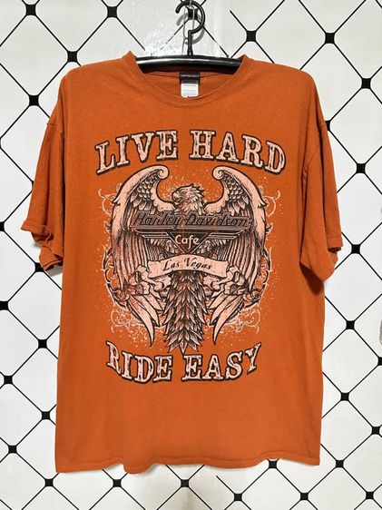 💥เสื้อ HARLEY-DAVIDSON  second hand t-shirts    รูปที่ 1