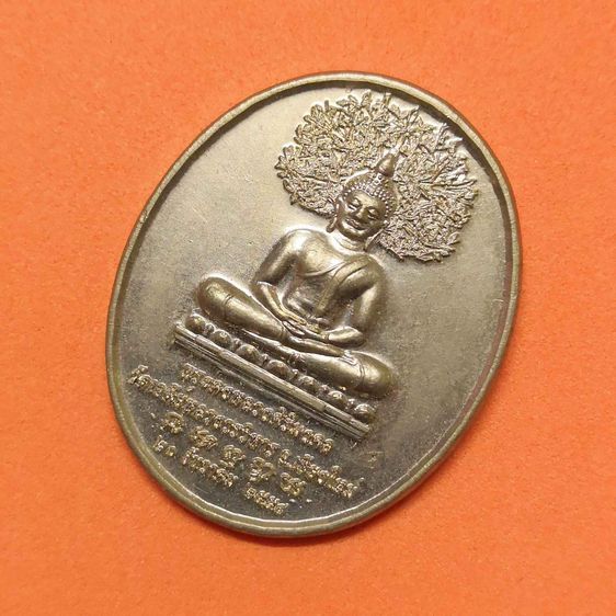 เหรียญ พระดงหลวงศิริมงคล หลัง พระราชเจติยาจารย์ ชูเกียรติ อภโย วัดเจดีย์หลวงวรวิหาร เชียงใหม่ ที่ระลึกเจริญอายุวัฒนมงคล 90 ปี พศ 2558 รูปที่ 3