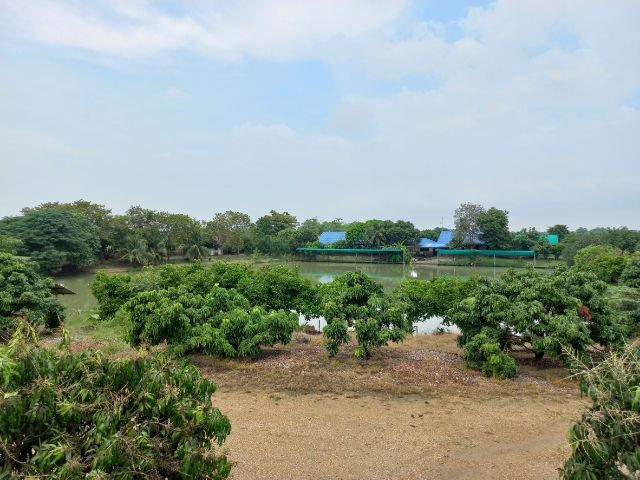 ที่ดิน นครปฐม 75ไร่พร้อม พร้อมสิ่งปลูกสร้าง เรือนไทย บ้าน บ่อน้ำ สวนผลไม้ สนใจติดต่อได้