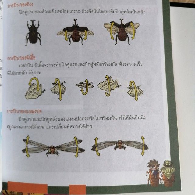 เอาชีวิตรอดในอาณาจักรแมลง เล่ม 1-3 รูปที่ 4