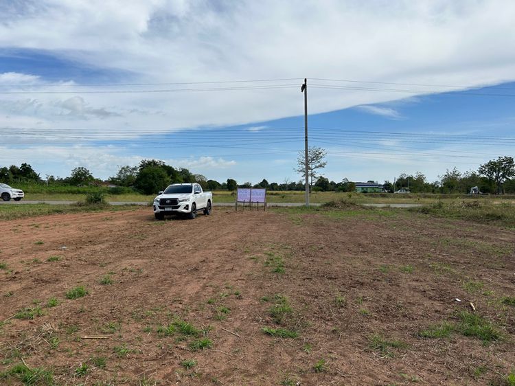 ขายที่ดินขามสะแกแสง 200 ตรว อยู่หลังที่ว่าการอำเภอขามสะแกแสง รูปที่ 2