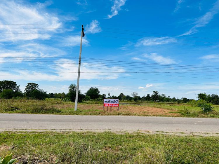 ขายที่ดินขามสะแกแสง 200 ตรว อยู่หลังที่ว่าการอำเภอขามสะแกแสง รูปที่ 3