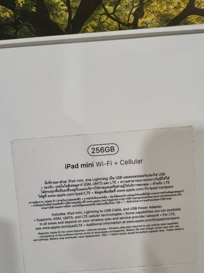 iPad Mini 5 Cellular 256gb สี Space Grey รูปที่ 9