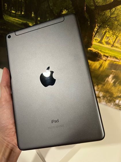 iPad Mini 5 Cellular 256gb สี Space Grey รูปที่ 7