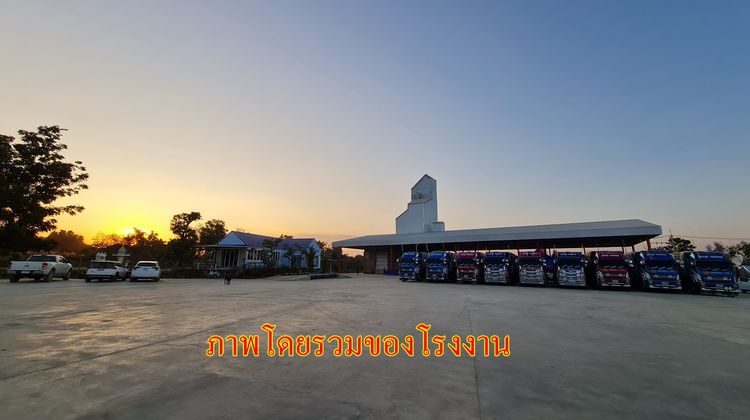 ขายโรงไม้สับและไซโลข้าวโพด พร้อมทำกิจการต่อได้ทันที ทำเลศูนย์กลางของตลาด อ.เมือง จ.ลำพูน รูปที่ 2