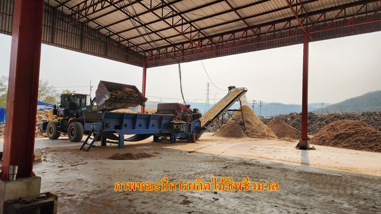 ขายโรงไม้สับและไซโลข้าวโพด พร้อมทำกิจการต่อได้ทันที ทำเลศูนย์กลางของตลาด อ.เมือง จ.ลำพูน รูปที่ 3