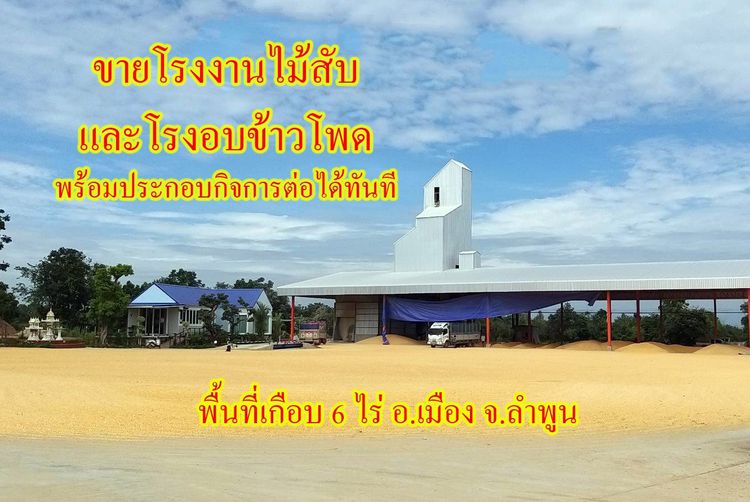 ขายโรงไม้สับและไซโลข้าวโพด พร้อมทำกิจการต่อได้ทันที ทำเลศูนย์กลางของตลาด อ.เมือง จ.ลำพูน 