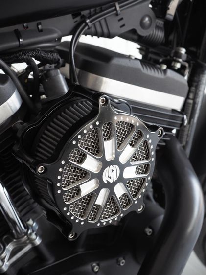 Harley-Davidson Sportster iron 883  รูปที่ 8