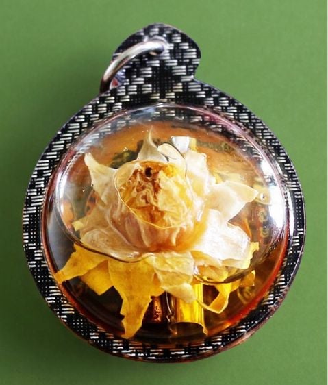 ดอกรักซ้อนร่านรัก ร้อยผัวพันเมียเลี่ยมน้ำมันว่าดอกทอง ครูบาเดช 