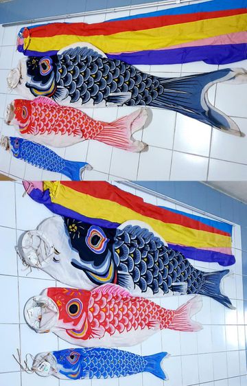 ธงปลาคารฟ โคอิโระ
สไตล์ราชวงศ์ Japanese Carp Streamer Set.
ธงปลาคราฟ ตัวใหญ่ รูปที่ 3