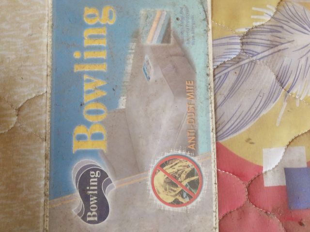 บริจาคเตียงนอนเตียงนอน(เตียงนอนมือสองสภาพเก่าพอใช้ได้(แจกฟรีแต่ต้องมาขนเองหรือมาเอาเองหรือมาเอาด้วยตัวเอง)) รูปที่ 14