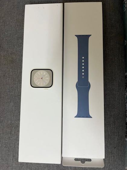 สแตนเลส เงิน Apple Watch S8