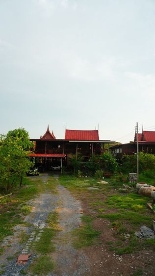 ขายบ้านทรงไทย