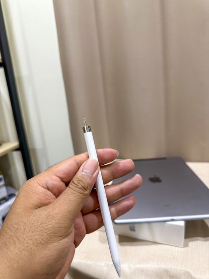 Apple Pencil Gen 1 ปากกาไอแพด ของแท้ วาดรูป ใช้งานปกติ ใช้กับ iPad Gen 6 ขึ้นไป สอบถามได้ครับ รูปที่ 4