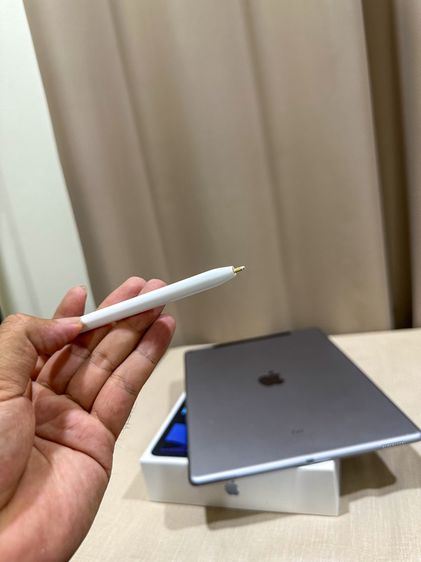 Apple Pencil Gen 1 ปากกาไอแพด ของแท้ วาดรูป ใช้งานปกติ ใช้กับ iPad Gen 6 ขึ้นไป สอบถามได้ครับ รูปที่ 7