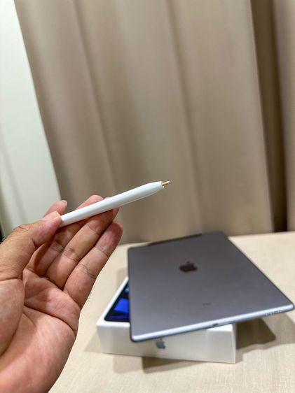 Apple Pencil Gen 1 ปากกาไอแพด ของแท้ วาดรูป ใช้งานปกติ ใช้กับ iPad Gen 6 ขึ้นไป สอบถามได้ครับ รูปที่ 9
