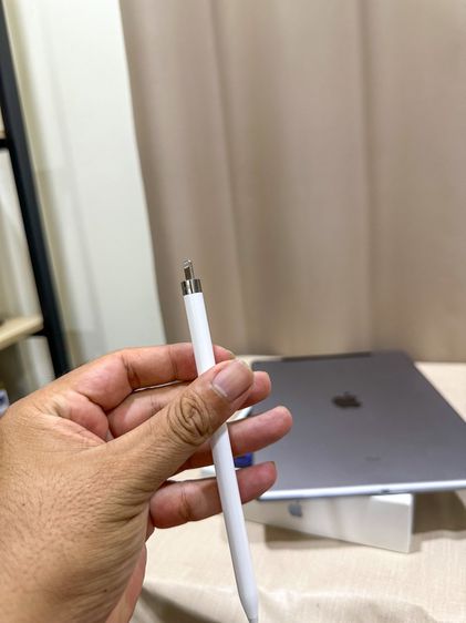 Apple Pencil Gen 1 ปากกาไอแพด ของแท้ วาดรูป ใช้งานปกติ ใช้กับ iPad Gen 6 ขึ้นไป สอบถามได้ครับ รูปที่ 6