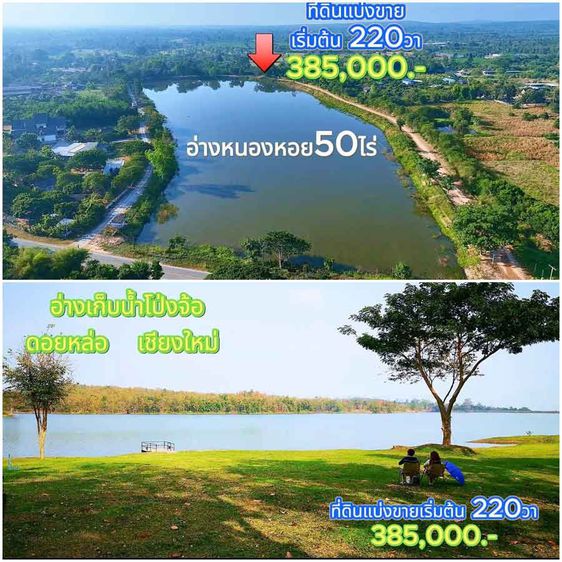 ขายที่ดินสวนราคาถูก เชียงใหม่ ที่ดินแบ่งขาย ติดอ่างเก็บน้ำ ติดลำเหมืองทุกแปลง  ดินดี น้ำดี วิวเขา รูปที่ 3