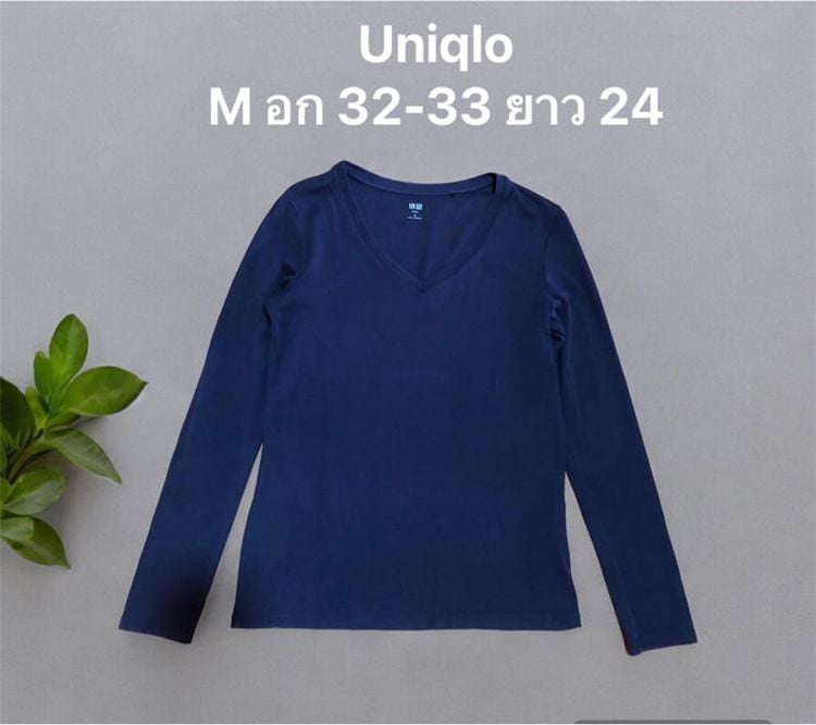 เสื้อยืด Uniqlo