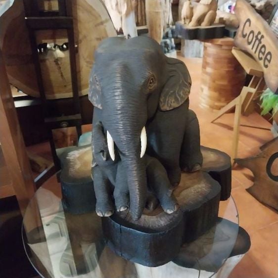 ช้างกอดลูก