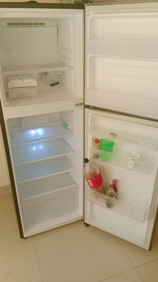 ตู้เย็นชารป์ (ขนาด 7.9 คิว)