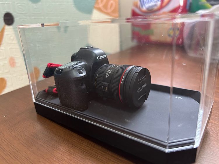 Canon EOS 5 D Mark IV (Model)