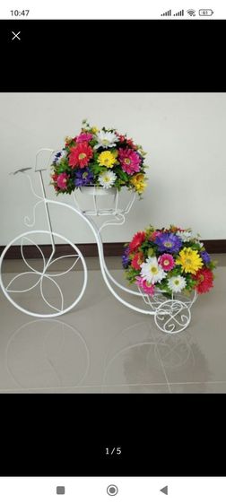 ดอกไม้ประดับ  4  กระทาง รวมรถจักรยาน  รูปที่ 2