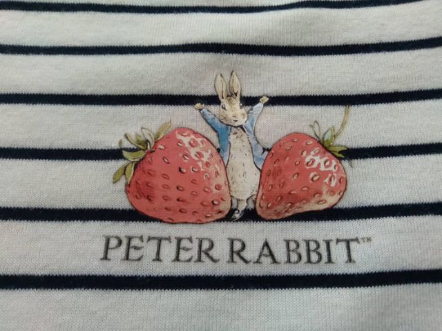 เสื้อยืดแบรนด์ปีเตอร์แรบบิท PETER RABBIT(M 154-162)สีขาวลายขวาง รูปที่ 3