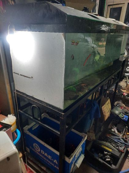 ตู้ปลาขนาด 60×20×20 ตู้กระจกหนา มีขาเหล็กชั้นวางพร้อม มี 2 ตู้ อีกตู้ขนาด 50×20×20 ขาย 2000 รูปที่ 3